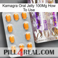 Kamagra Oral Jelly 100Mg How To Use new12